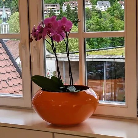 Wolkenfrei - Ankommen Und Zuhause Fuehlen - Apart-vl Διαμέρισμα *