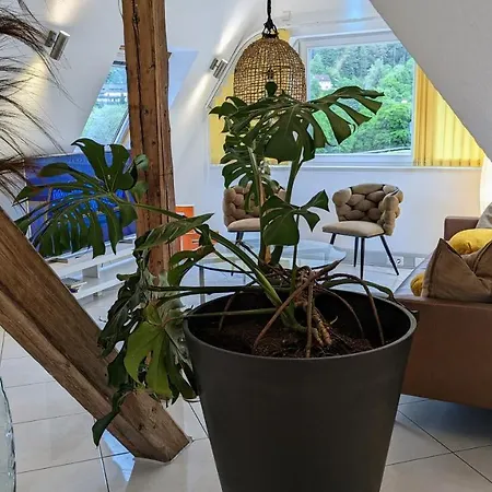 Wolkenfrei - Ankommen Und Zuhause Fuehlen - Apart-vl *